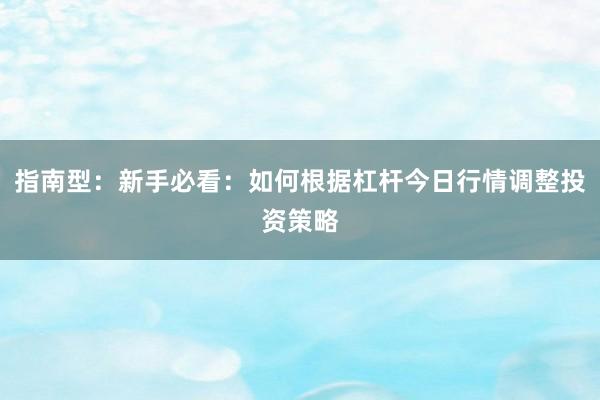 指南型：新手必看：如何根据杠杆今日行情调整投资策略