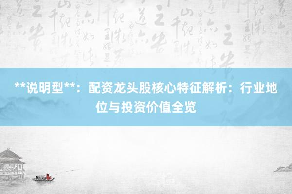 **说明型**：配资龙头股核心特征解析：行业地位与投资价值全览
