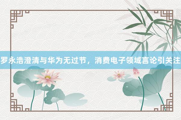 罗永浩澄清与华为无过节，消费电子领域言论引关注