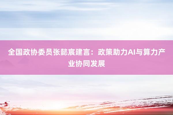 全国政协委员张懿宸建言：政策助力AI与算力产业协同发展