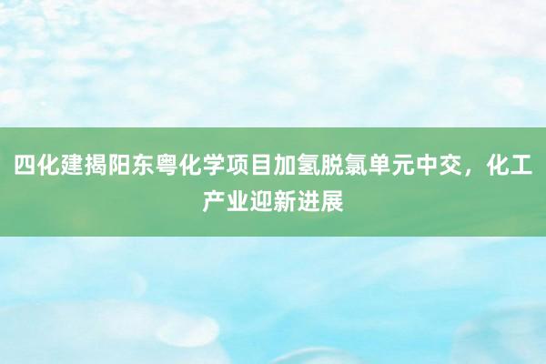 四化建揭阳东粤化学项目加氢脱氯单元中交，化工产业迎新进展