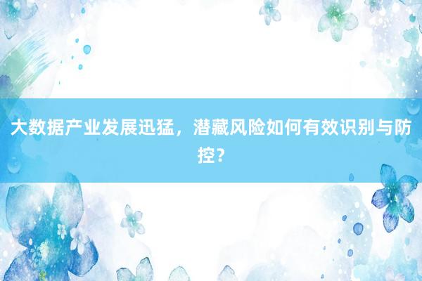 大数据产业发展迅猛，潜藏风险如何有效识别与防控？
