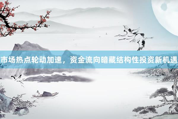 市场热点轮动加速，资金流向暗藏结构性投资新机遇