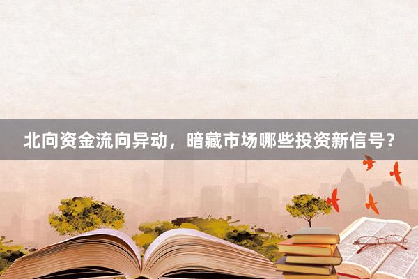 北向资金流向异动，暗藏市场哪些投资新信号？