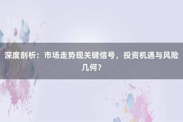 深度剖析：市场走势现关键信号，投资机遇与风险几何？