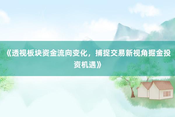 《透视板块资金流向变化，捕捉交易新视角掘金投资机遇》