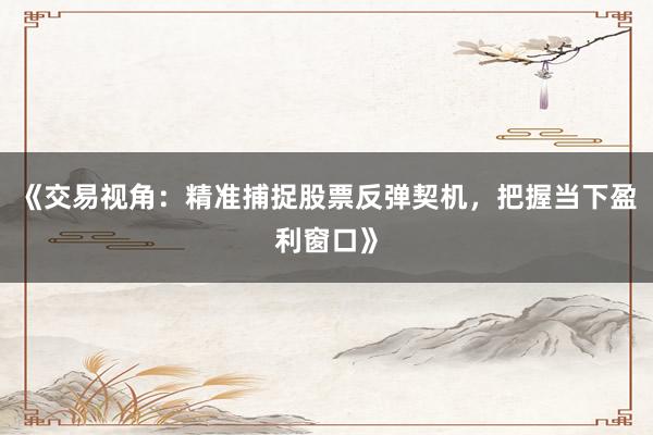 《交易视角：精准捕捉股票反弹契机，把握当下盈利窗口》
