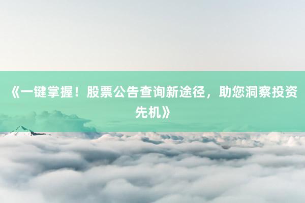 《一键掌握!股票公告查询新途径,助您洞察投资先机》