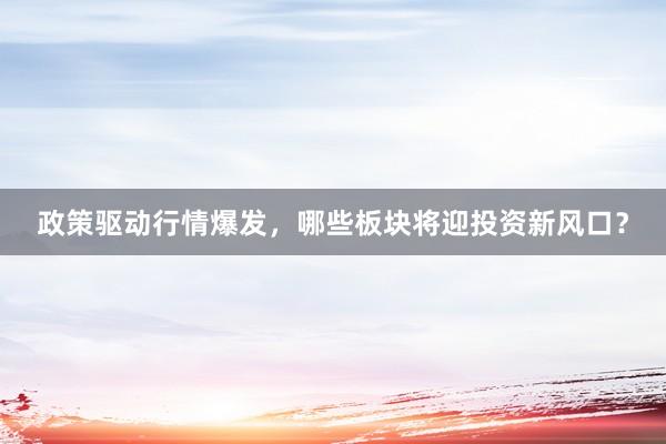 政策驱动行情爆发，哪些板块将迎投资新风口？