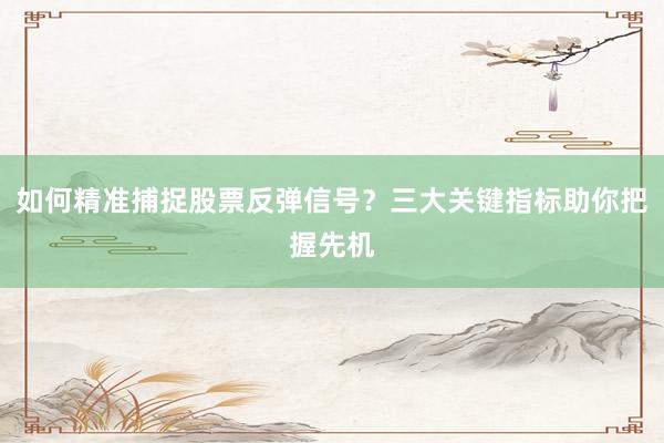 如何精准捕捉股票反弹信号？三大关键指标助你把握先机