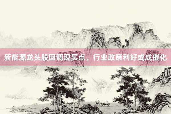 新能源龙头股回调现买点，行业政策利好或成催化