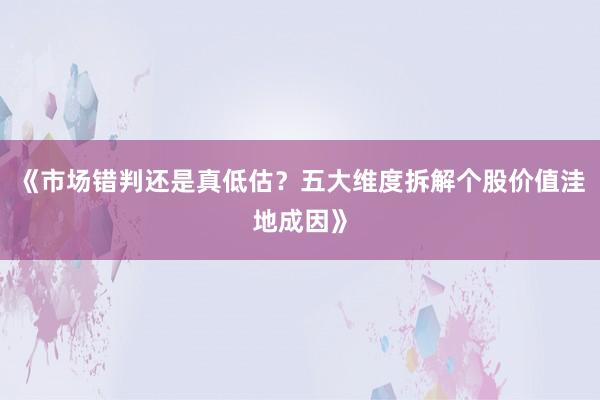 《市场错判还是真低估？五大维度拆解个股价值洼地成因》