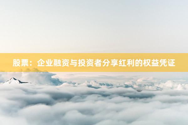 股票：企业融资与投资者分享红利的权益凭证