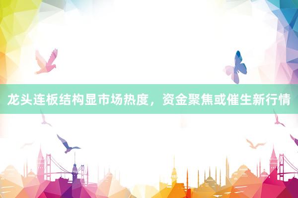 龙头连板结构显市场热度，资金聚焦或催生新行情