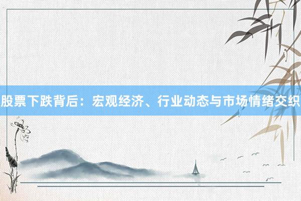 股票下跌背后：宏观经济、行业动态与市场情绪交织