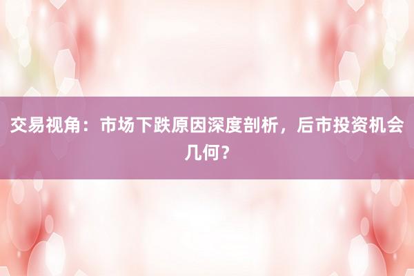 交易视角：市场下跌原因深度剖析，后市投资机会几何？