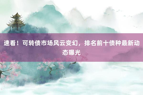 速看！可转债市场风云变幻，排名前十债种最新动态曝光