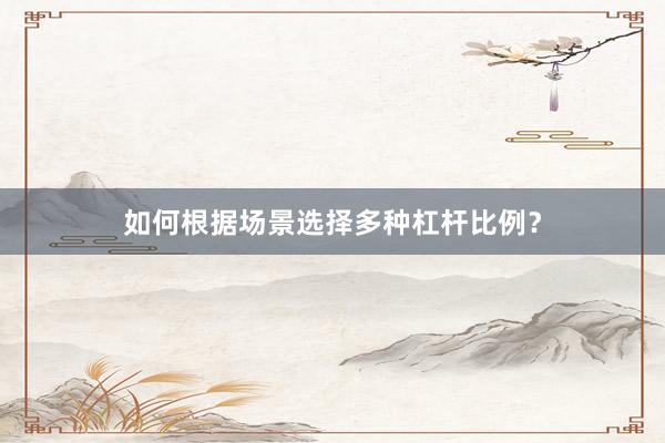 如何根据场景选择多种杠杆比例？