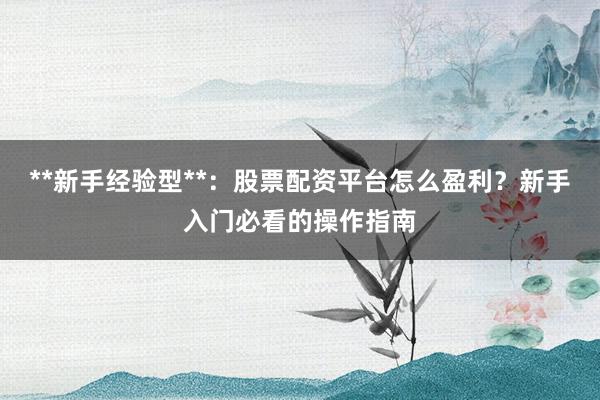 **新手经验型**：股票配资平台怎么盈利？新手入门必看的操作指南