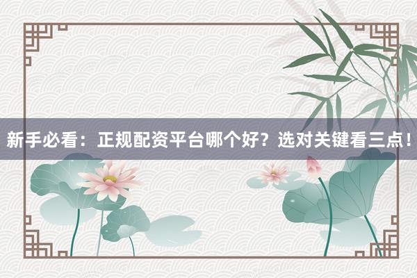 新手必看：正规配资平台哪个好？选对关键看三点！