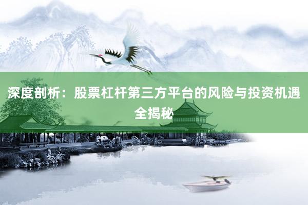 深度剖析：股票杠杆第三方平台的风险与投资机遇全揭秘